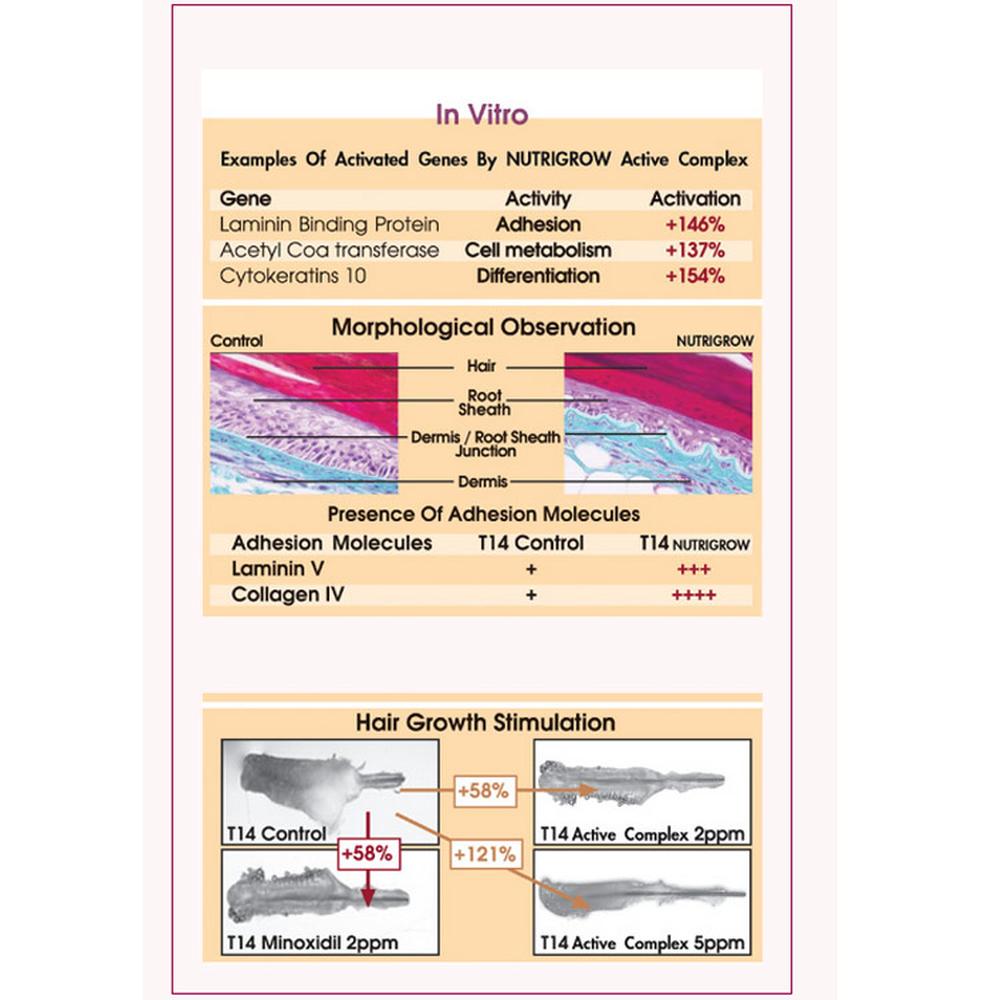 Nutrigrow Serum Set 3 x 60ml 3