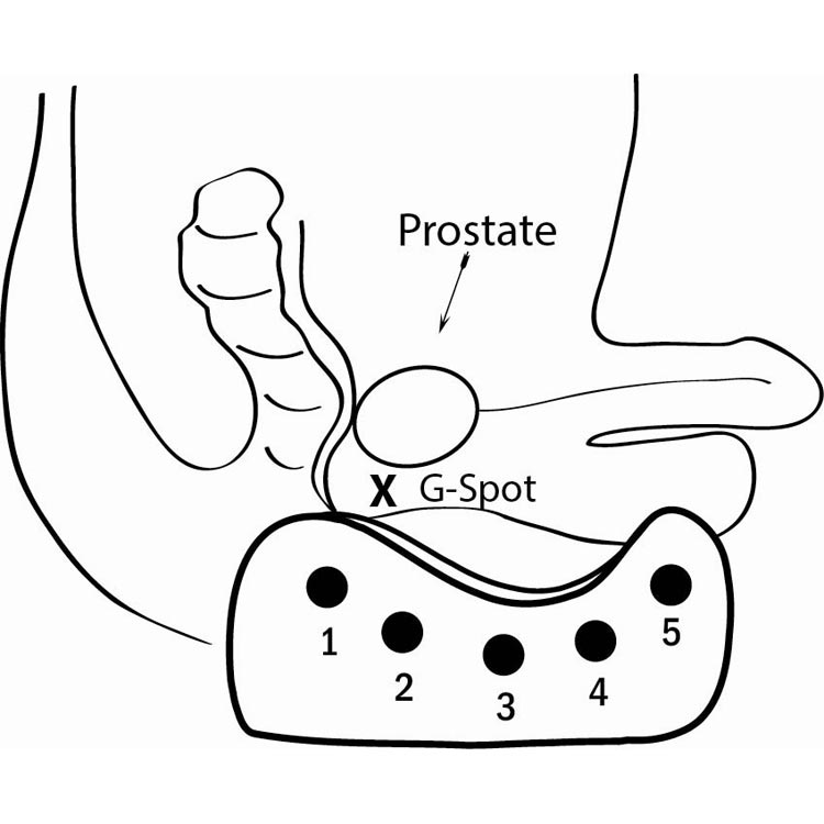  Maxhim Prostate Cradle External Massager for Prostate Pain & Prostatitis 4