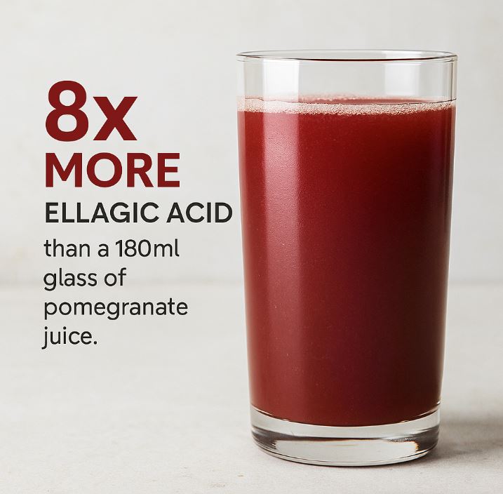 Power Health Pomegranate 500mg Capsules