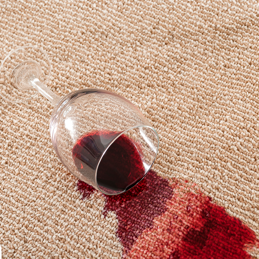 Professional Strength Dried-In Stain Remover & Odour Destroyer