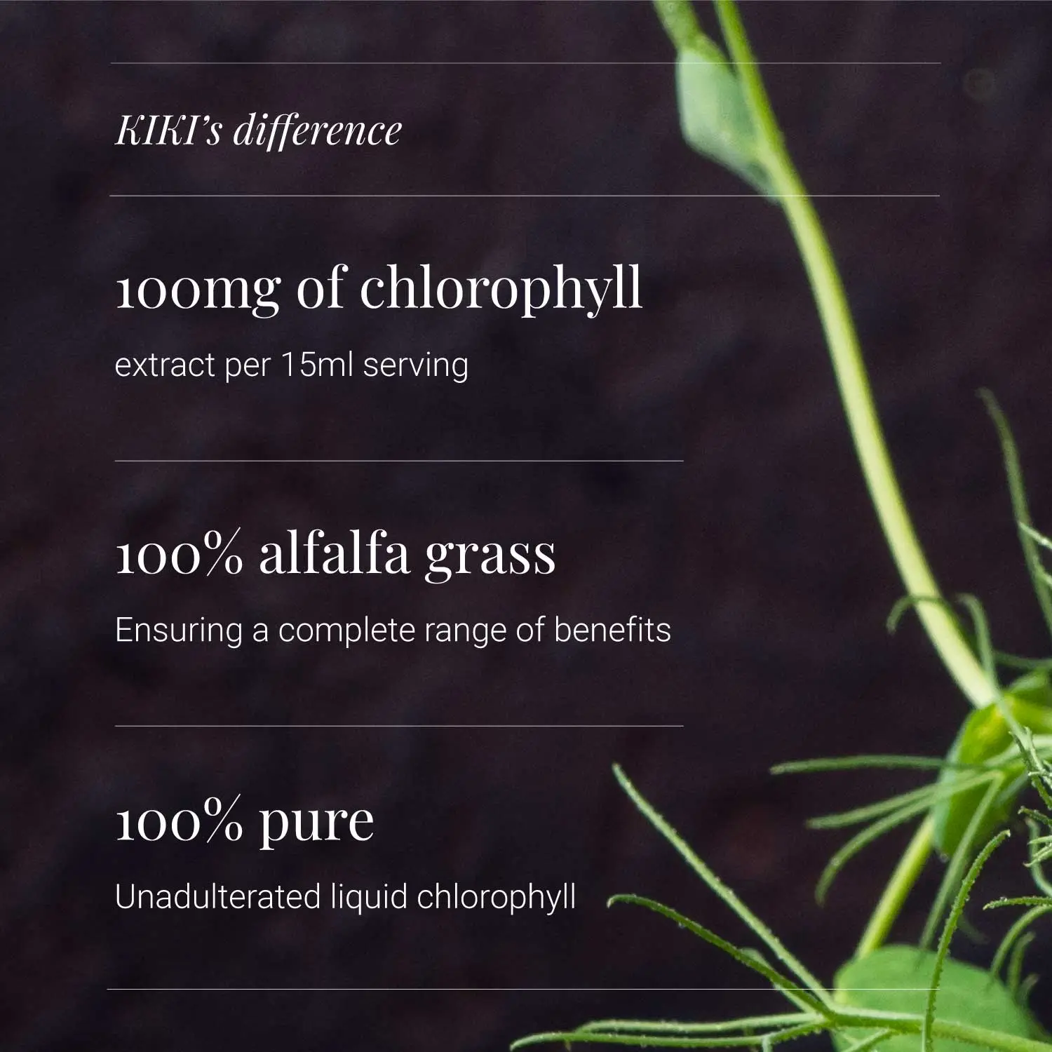 KIKI Health Liquid Chlorophyll 125ml