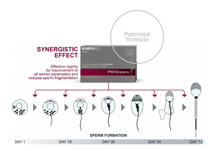 PROfertil Male Fertility Supplement