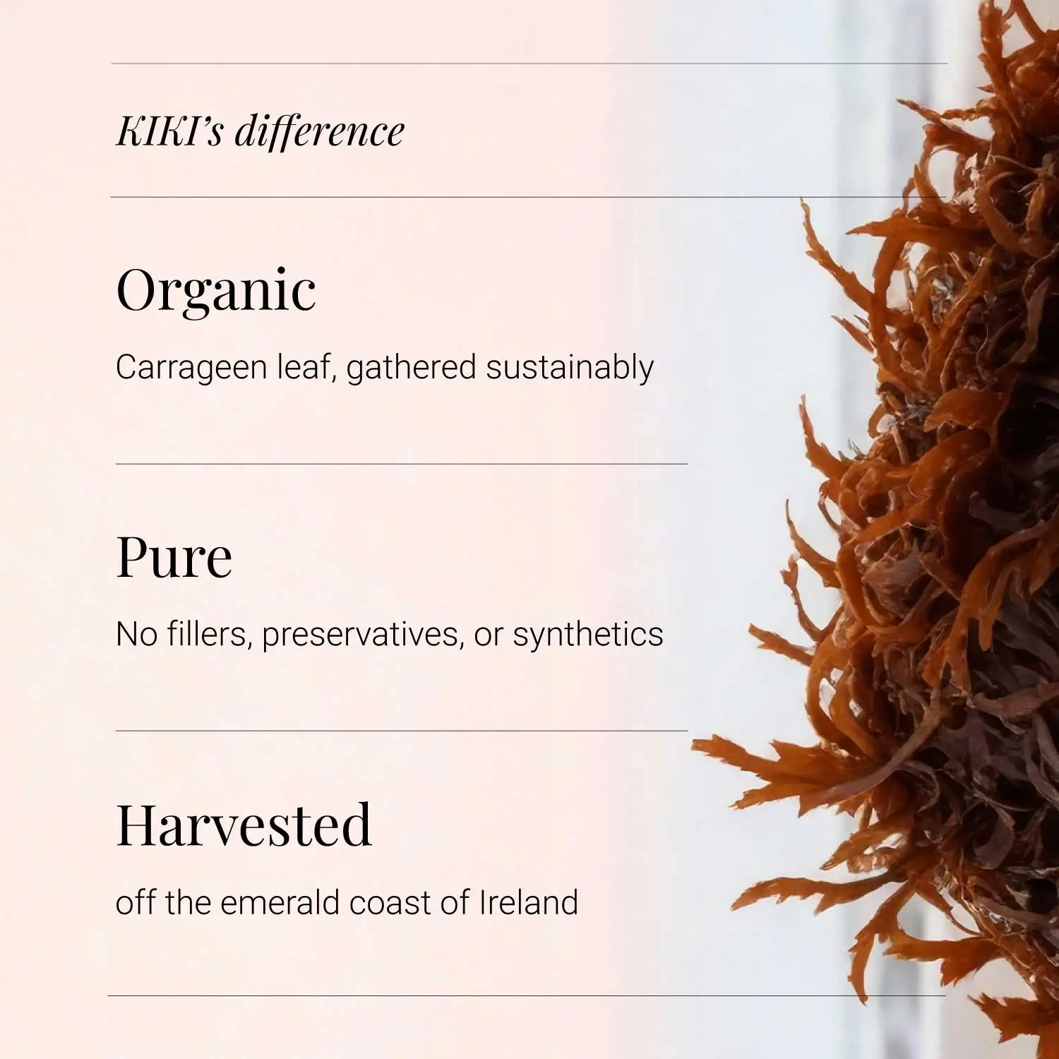 KIKI Health Organic Irish Sea Moss Capsules - 90