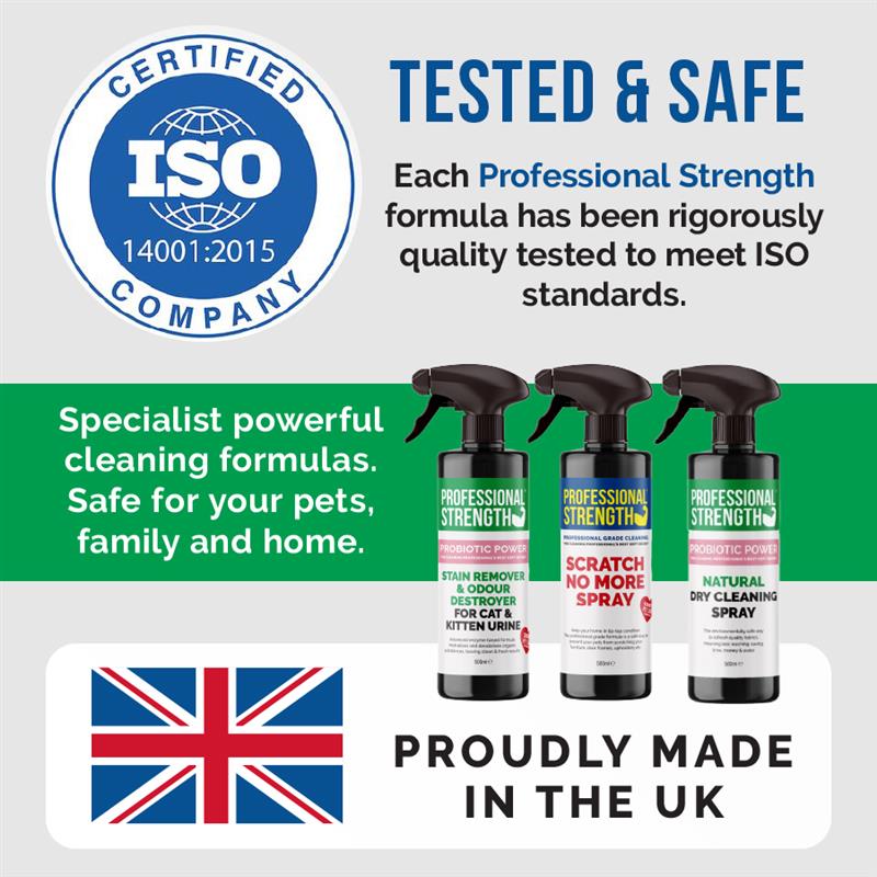 Professional Strength Fungicidal Wash Green Algae & Mould Remover