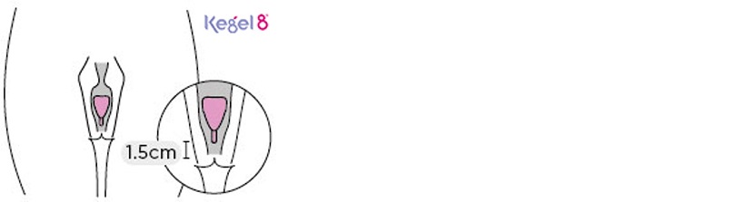 How High Does a Menstrual Cup Sit?