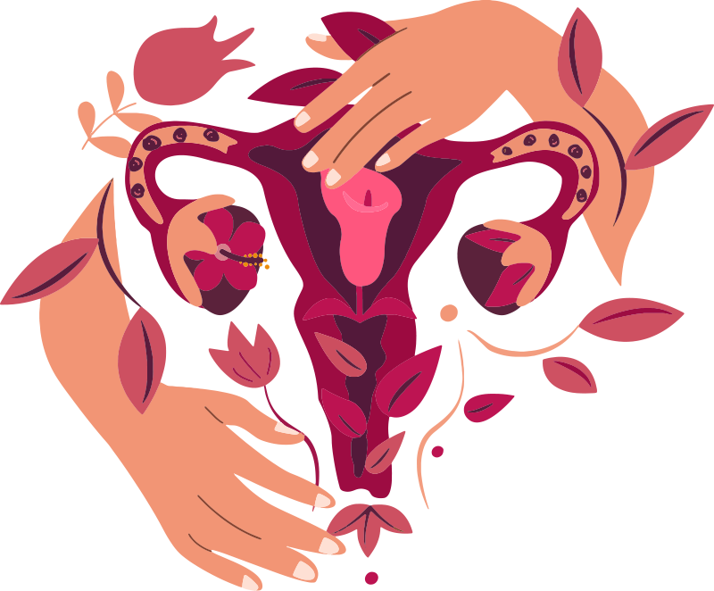 Illustration of a uterus held by two hands, symbolising women&rsquo;s health support