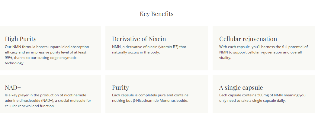 Key benefits of NMN supplements, including high purity, 99% purity level, NAD+ support, cellular rejuvenation, niacin (vitamin B3) derivative, and a single daily 500mg capsule for cellular energy and vitality.