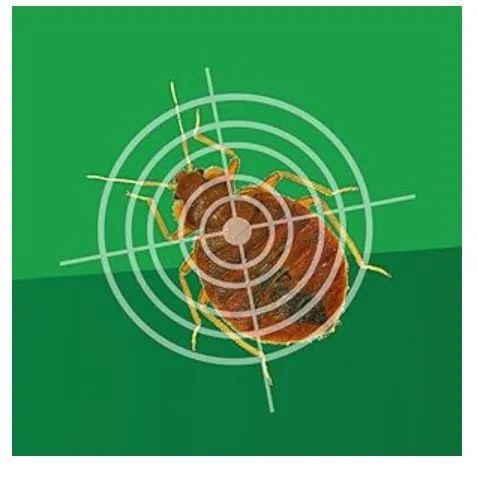 Repel-N-Go Bed Bug Repellent Natural Defence