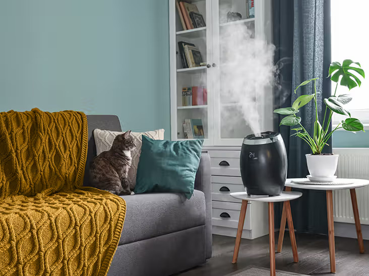 Humidifier In Living Room - StressNoMore. Humidifier releasing mist in a cosy living room with a sofa, cushions and houseplants, illustrating a home remedy for relieving dry skin