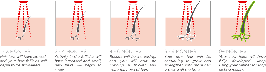 Treatment Phases