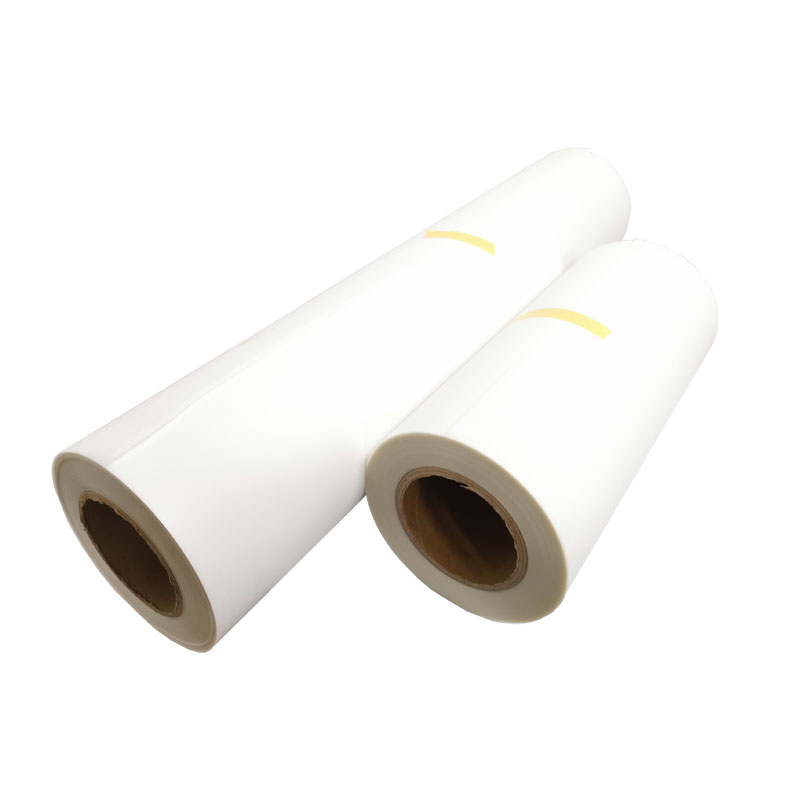 Factory price heat transfer cold or hot peel pet DTF film roll A3 30cm 33cm 37cm 45cm 60CM