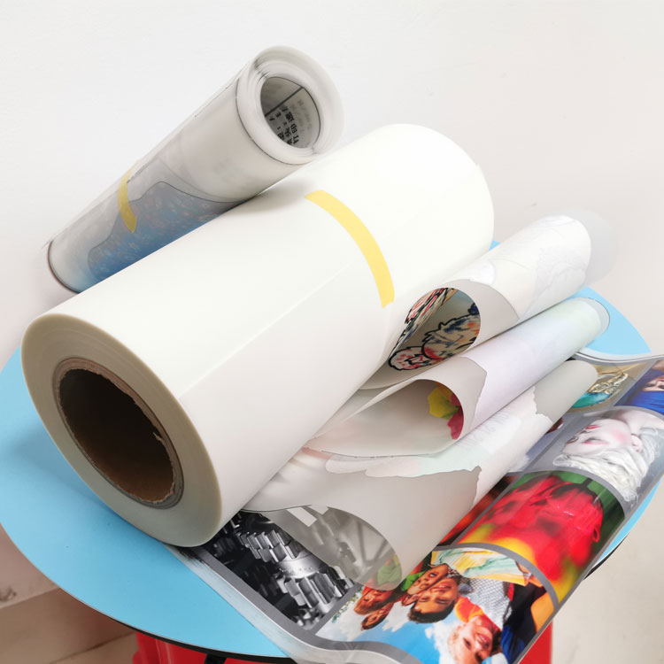 Factory price heat transfer cold or hot peel pet DTF film roll A3 30cm 33cm 37cm 45cm 60CM