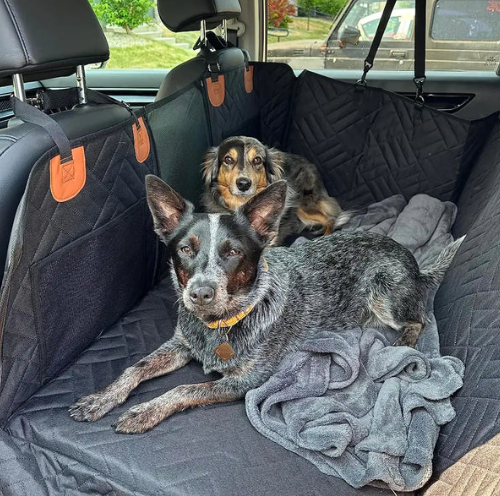 Κάλυμμα καθίσματος αυτοκινήτου για κατοικίδια