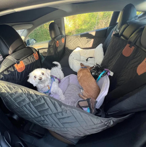 Κάλυμμα καθίσματος αυτοκινήτου για κατοικίδια