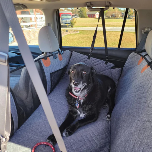 Κάλυμμα καθίσματος αυτοκινήτου για κατοικίδια