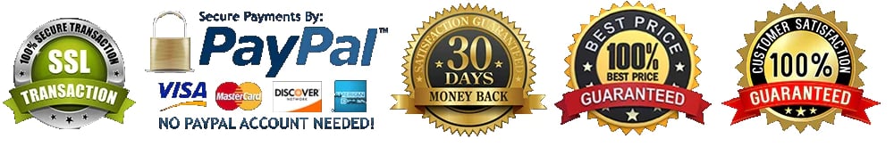 payments securely processed