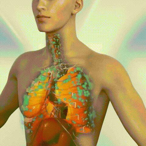 The Most Effective Lung Cleansing Solution-Lung Cleansing Spray 10 dd5b6a5259024f2fba9d10d9626d5f50 2
