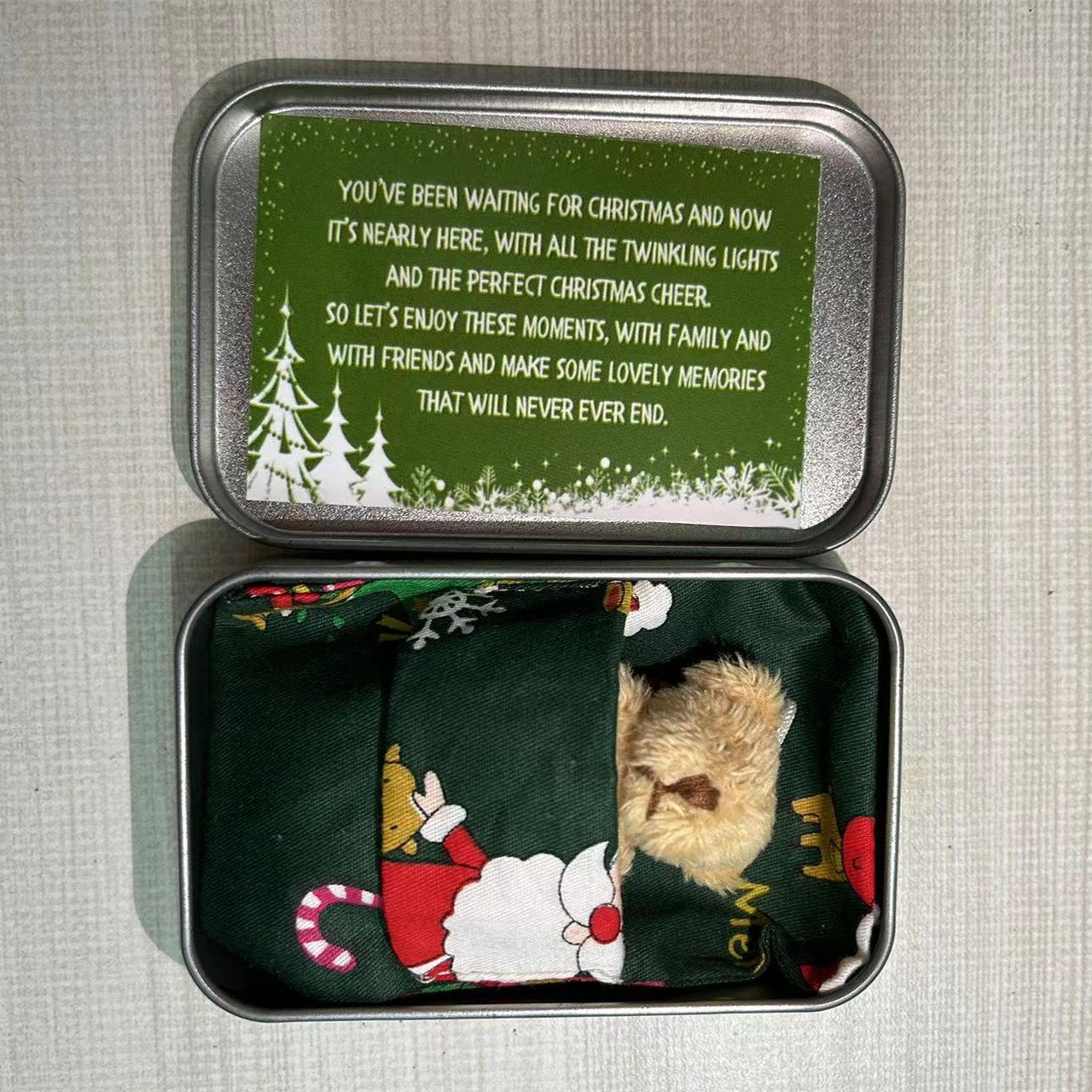 My Adorable Bear🧸Best Christmas Gift🎄