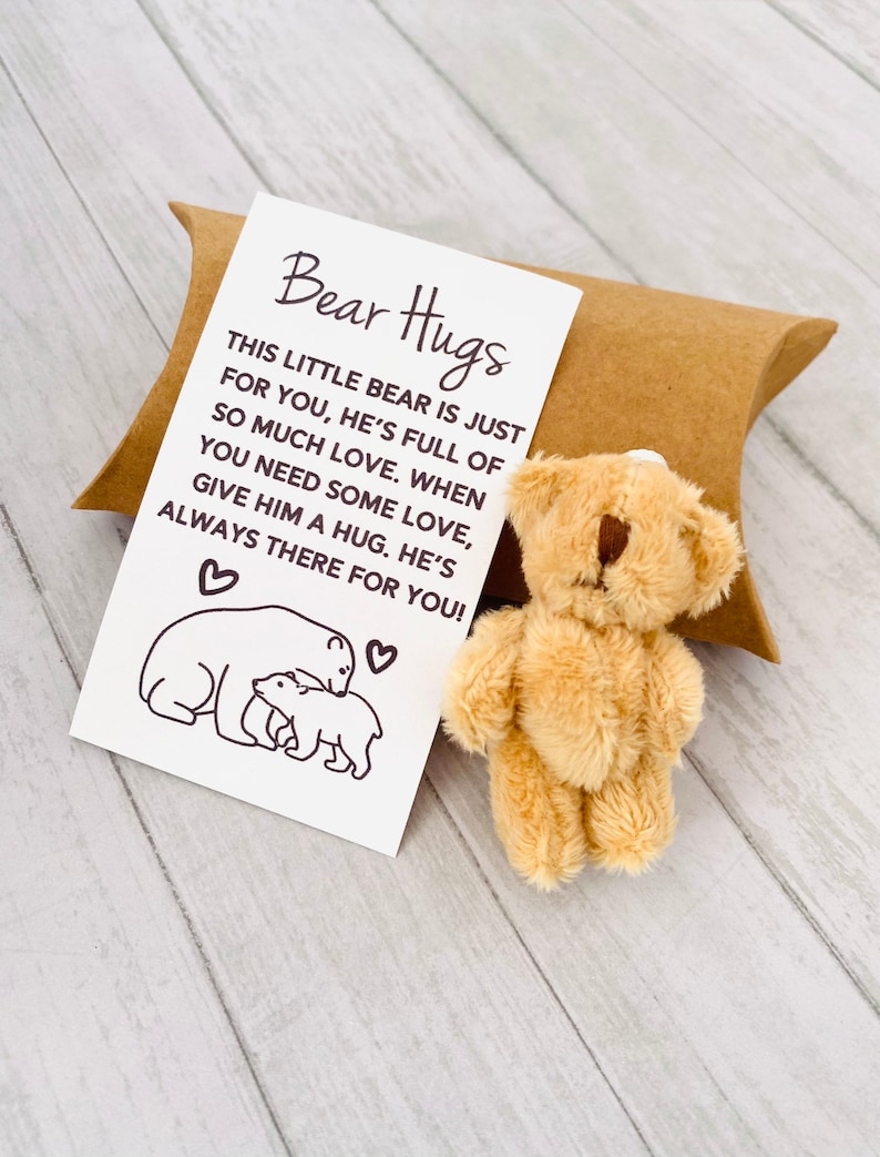 Pocket hug bear 