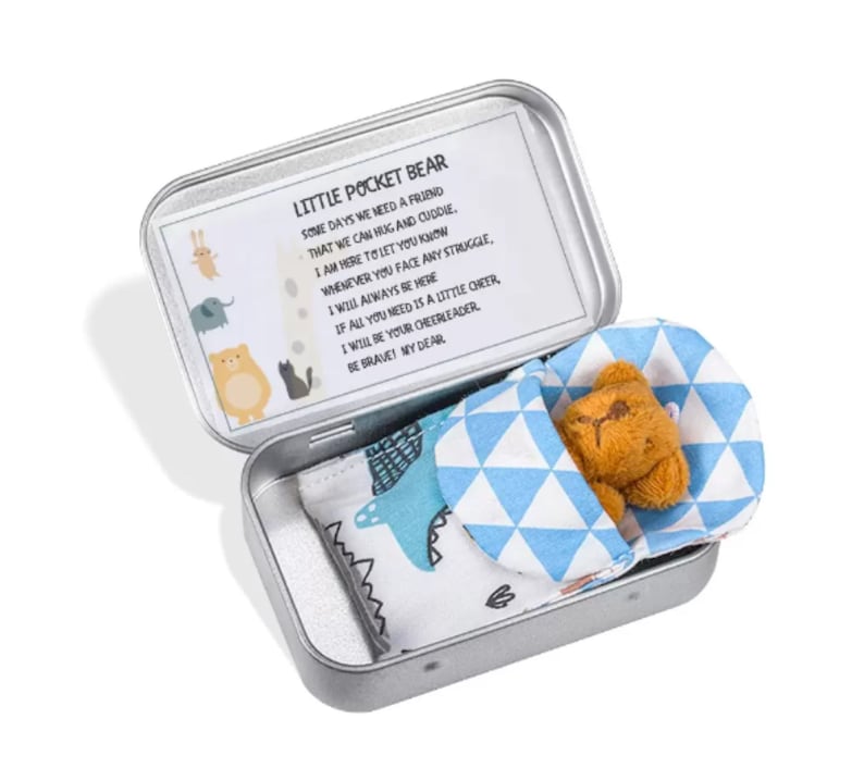 Teddy Bear in a Tin Box