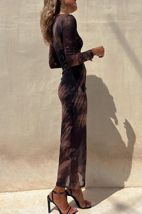 Kathiadress Mesh  Printed Slim Fit Stretch Long Sleeve Dress