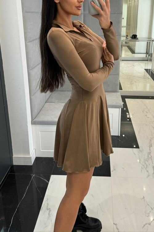 Nonnadress Solid Colour Waisted Long Sleeve Lapel Dress