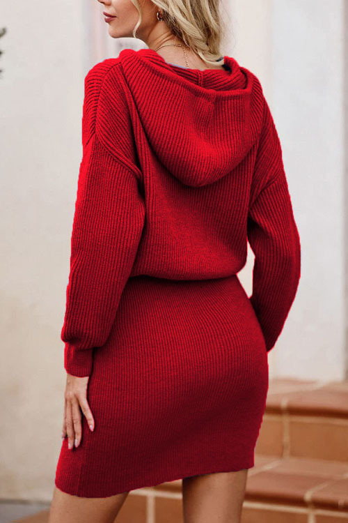 Kathiadress  Christmas hooded pullover waisted knitted hip Dress