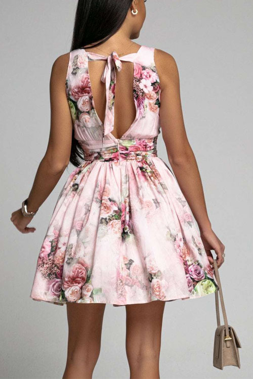 Secret Garden V-Neck Sleeveless Mini Dress