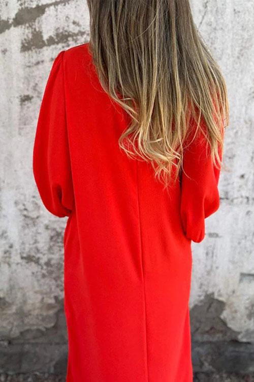 Nonnadress Lantern Sleeve Multi-color Dress