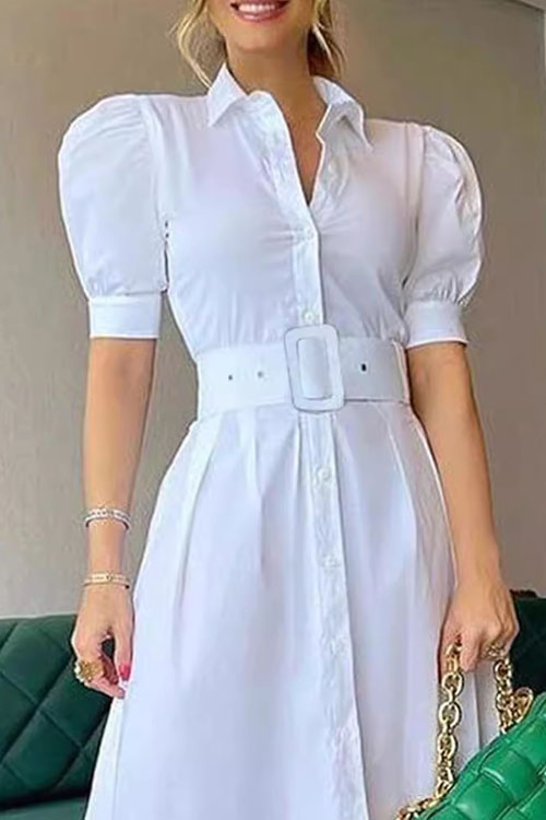 Nonnadress Striped Short Sleeve Belted Swing Dress