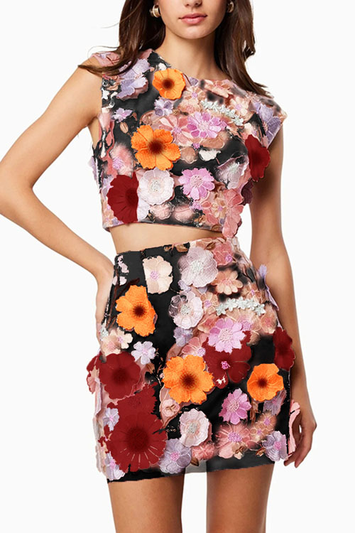 Nonnadress Embroidered Lace Top & Skirt Two-piece Set