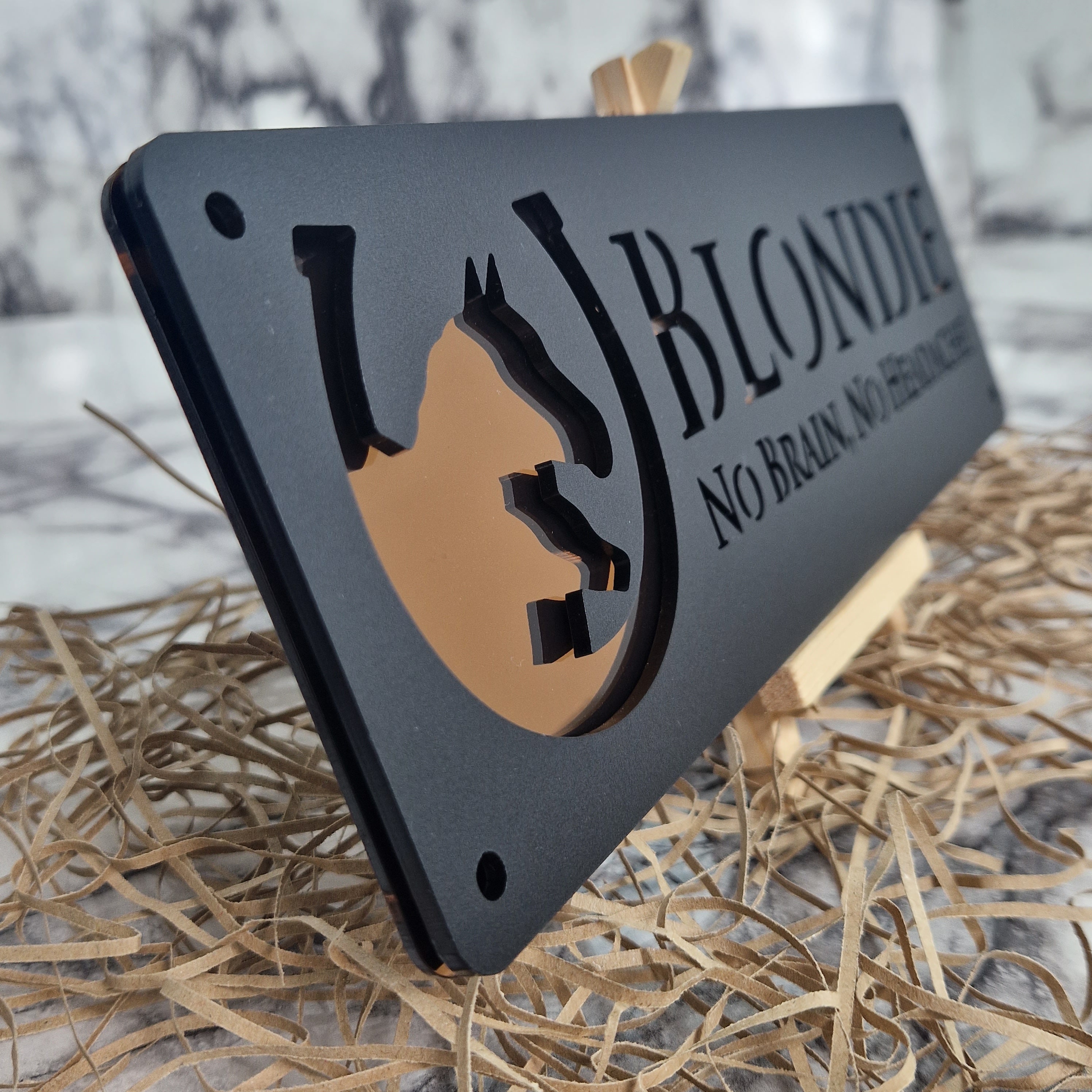 Personalized Laser Cut Stable Name Tag