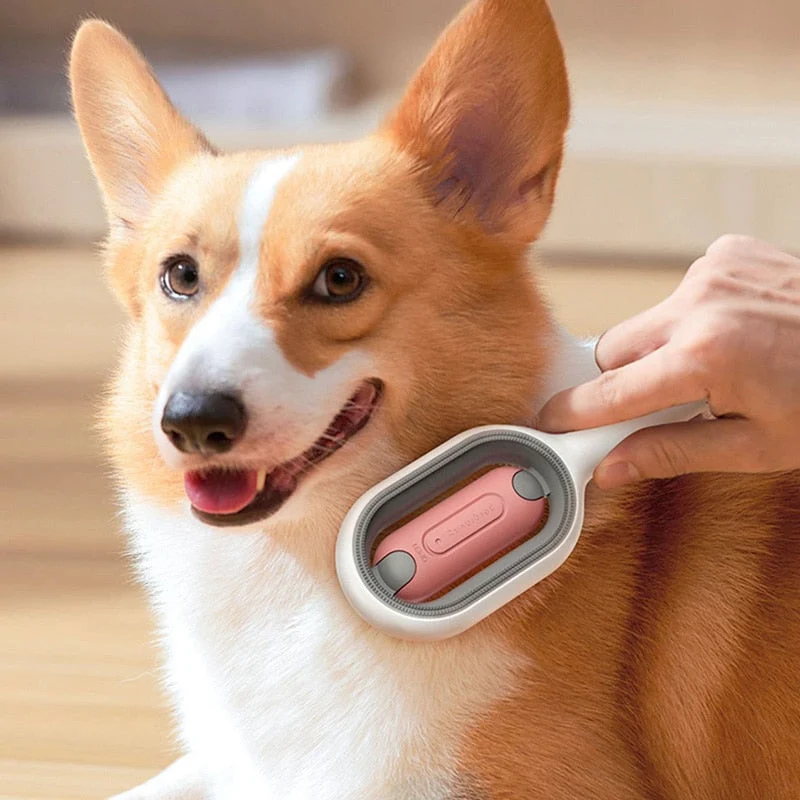 Cleaning Pet Hair