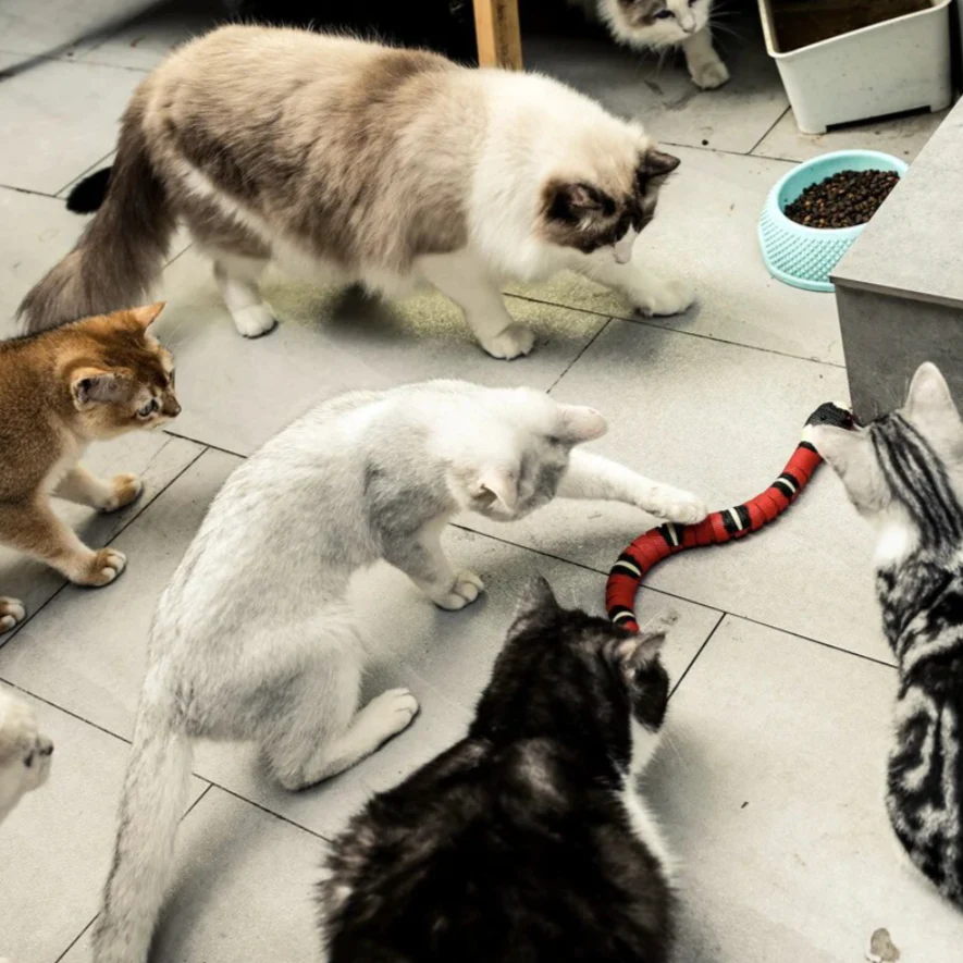 🎄Christmas Sale 49% OFF-SMART SENSING SNAKE