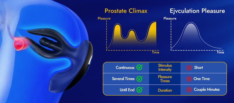 Internal Sensation Map