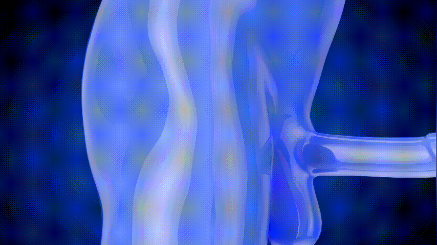 Pleasure Activation GIF