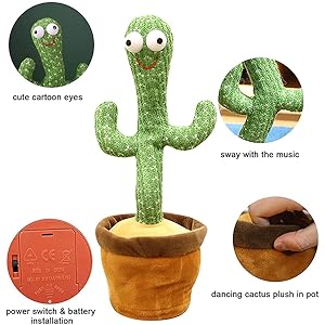 Cactus Dancing Installation method