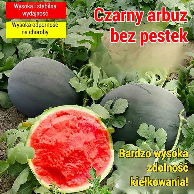 [Słodsze niż miód]Czarne bezpestkowe nasiona arbuza wysokoplennego