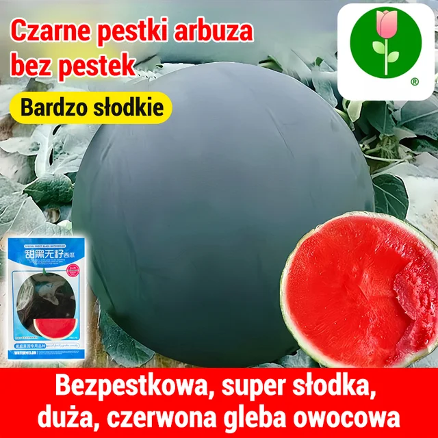 [Słodsze niż miód]Czarne bezpestkowe nasiona arbuza wysokoplennego