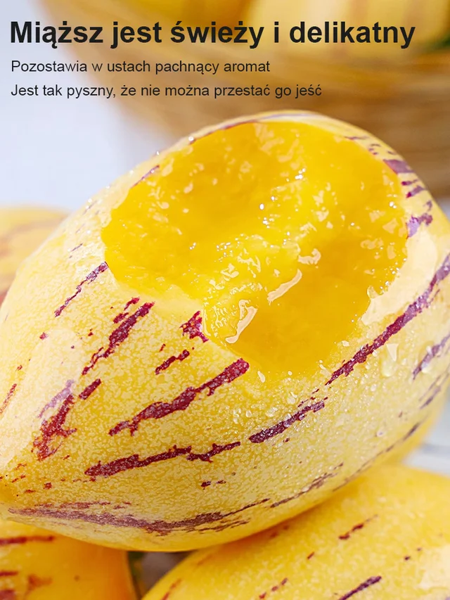 Hipoglikemiczny i przeciwnadciśnieniowy kremowo-żółty miąższ owocu żeń-szenia doniczkowego-Tylko 19zł za sztukę! ! !