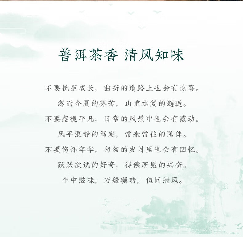 Puzhiwei three-year-old Raw Pu’er Tea gift package-taeteastore