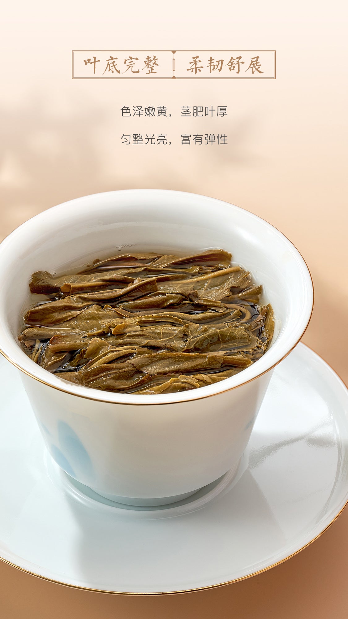 Dragon Ball Gift Package  Quick Brew Raw Pu’er Tea 80g/box-taeteastore