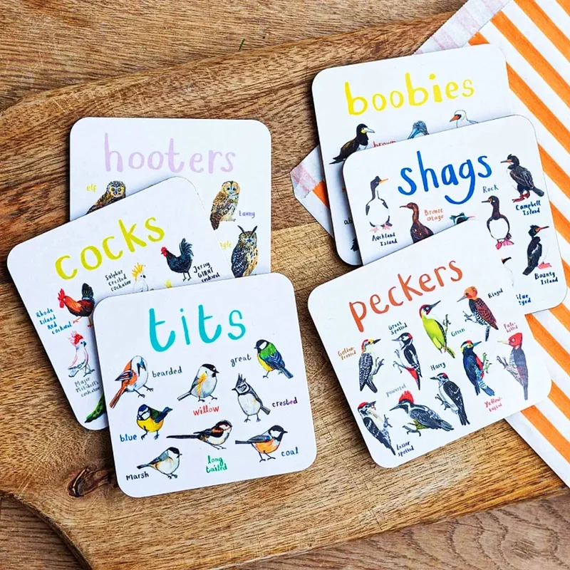 Hot Sale 🐦Set of 6 Bird Pun Coasters