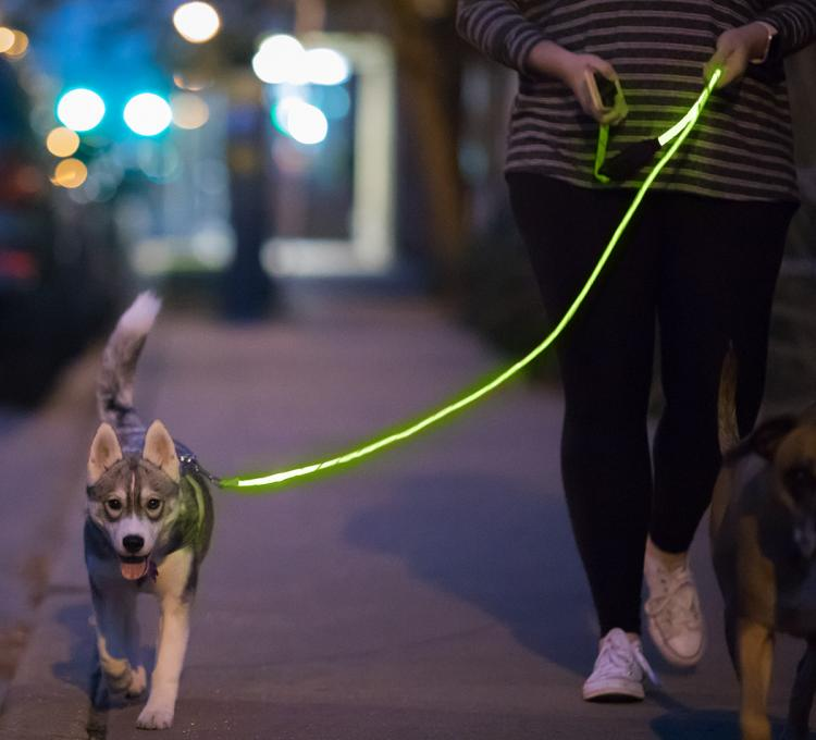 LED Glow in The Dark Pet Dog Leash