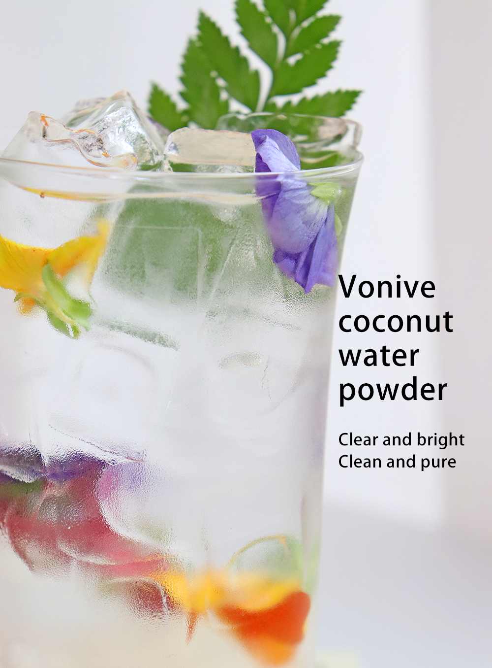 vonive milk tea coffee drink