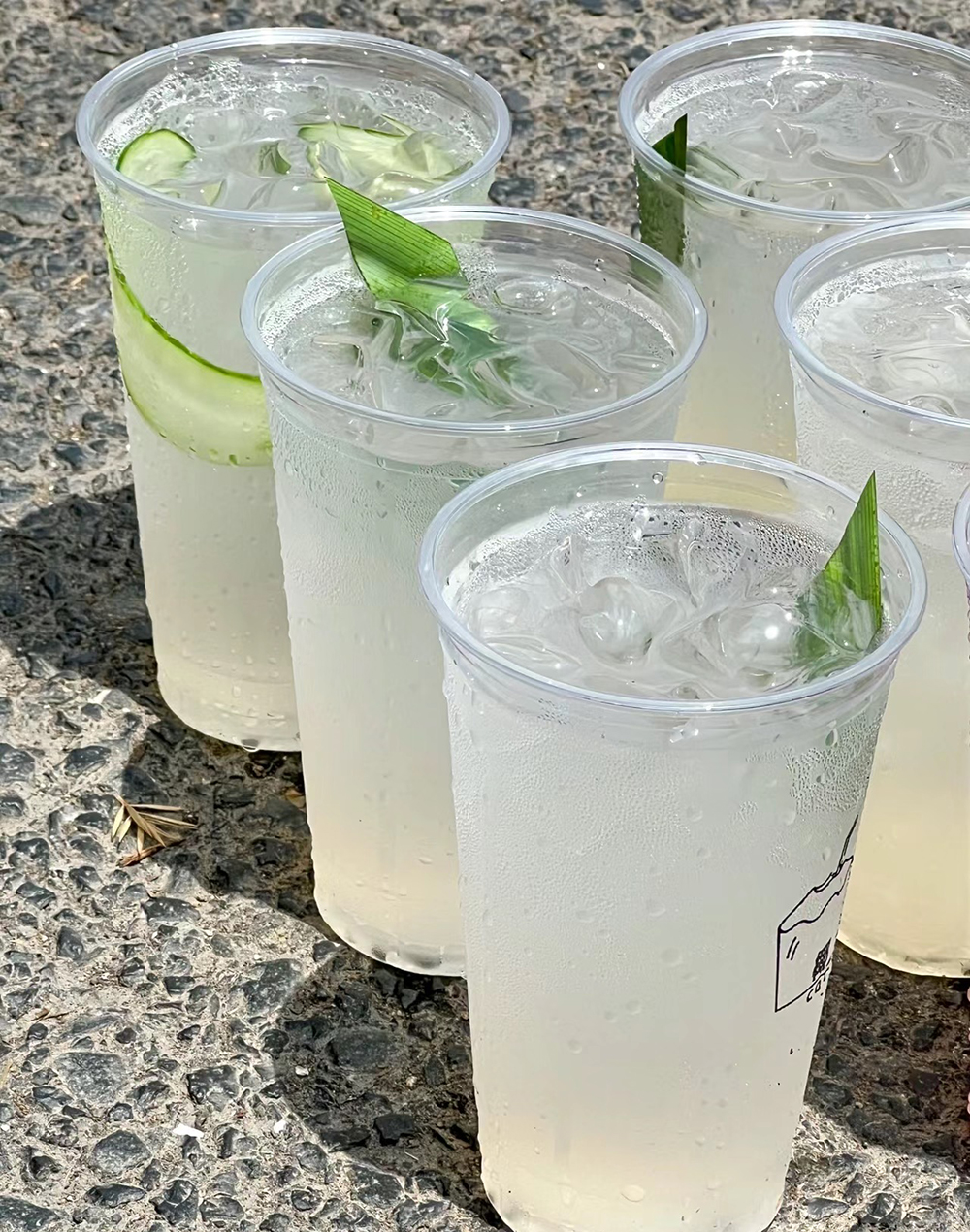 vonive milk tea coffee drink