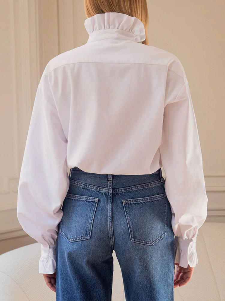 Women's 2026 New Ruffled Stand Collar Long Sleeve Blouse