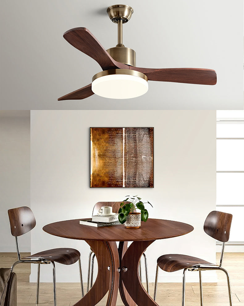 Mid Century Modern Ceiling Fan Lamp - WM5228a – Jucci Light