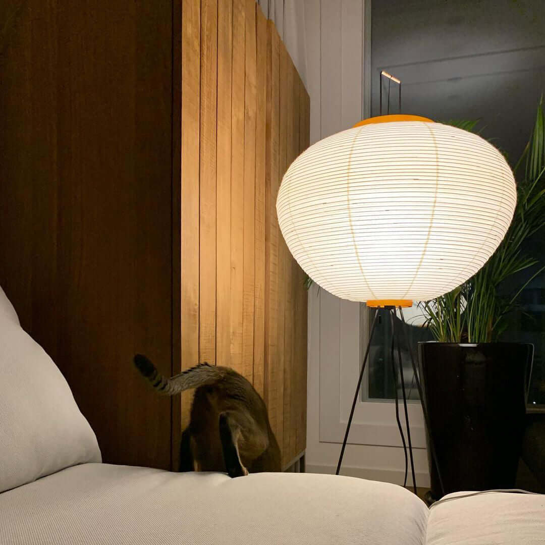 Rice Paper Traditional Floor Lamp