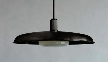 ROMAN AND WILLIAMS GUILD OSCAR PENDANT LIGHT